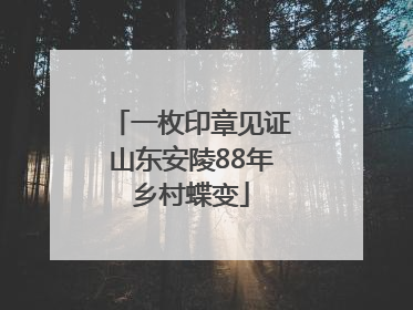 一枚印章见证山东安陵88年乡村蝶变