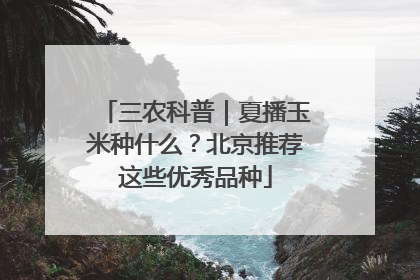 三农科普｜夏播玉米种什么？北京推荐这些优秀品种
