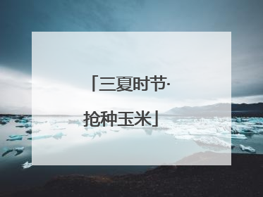 三夏时节·抢种玉米