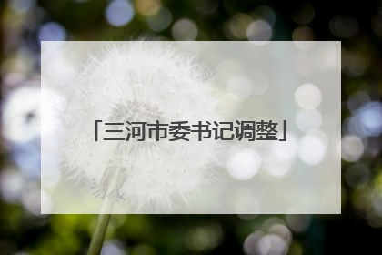 三河市委书记调整