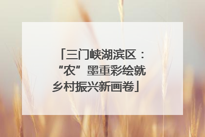 三门峡湖滨区：“农”墨重彩绘就乡村振兴新画卷
