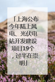 上海公布今年陆上风电、光伏电站开发建设项目19个，过半在崇明