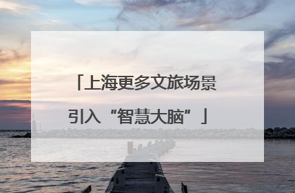 上海更多文旅场景引入“智慧大脑”