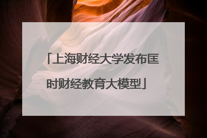 上海财经大学发布匡时财经教育大模型