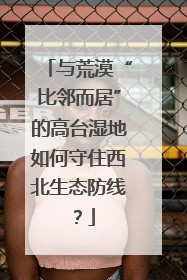 与荒漠“比邻而居”的高台湿地如何守住西北生态防线？