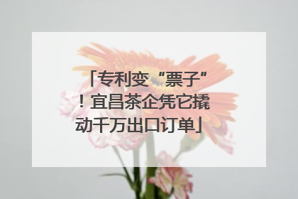 专利变“票子”！宜昌茶企凭它撬动千万出口订单