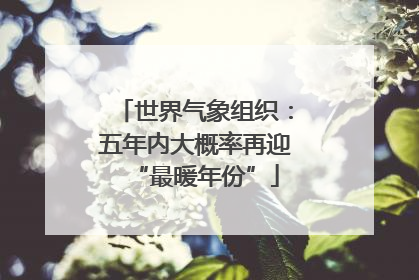 世界气象组织：五年内大概率再迎“最暖年份”