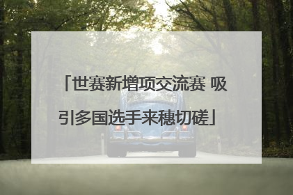 世赛新增项交流赛 吸引多国选手来穗切磋