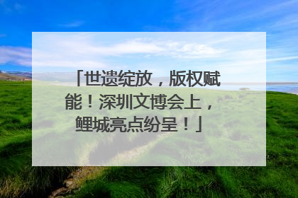 世遗绽放，版权赋能！深圳文博会上，鲤城亮点纷呈！