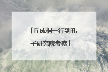 丘成桐一行到孔子研究院考察