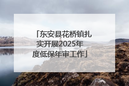 东安县花桥镇扎实开展2025年度低保年审工作