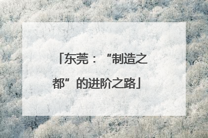 东莞：“制造之都”的进阶之路