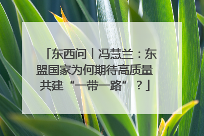 东西问丨冯慧兰：东盟国家为何期待高质量共建“一带一路”？