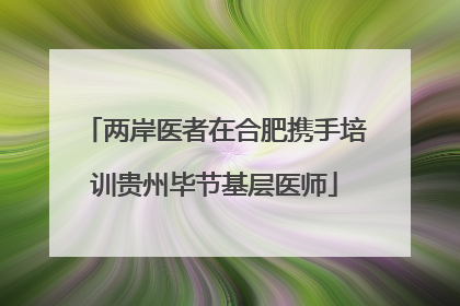 两岸医者在合肥携手培训贵州毕节基层医师