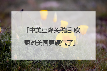中美互降关税后 欧盟对美国更硬气了