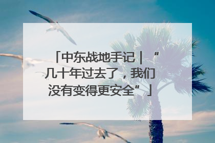 中东战地手记｜“几十年过去了，我们没有变得更安全”