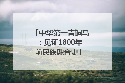 中华第一青铜马：见证1800年前民族融合史