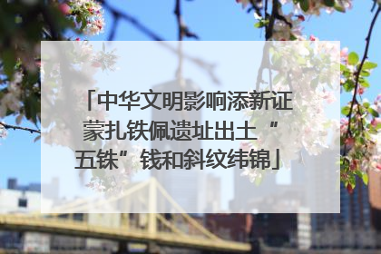 中华文明影响添新证 蒙扎铁佩遗址出土“五铢”钱和斜纹纬锦