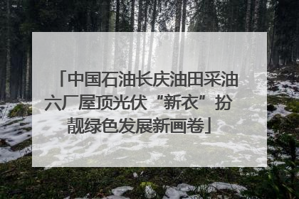 中国石油长庆油田采油六厂屋顶光伏“新衣”扮靓绿色发展新画卷