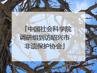 中国社会科学院调研组到访绍兴市非遗保护协会