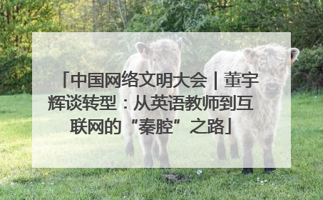 中国网络文明大会｜董宇辉谈转型：从英语教师到互联网的“秦腔”之路
