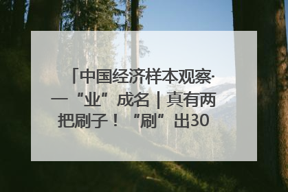 中国经济样本观察·一“业”成名｜真有两把刷子！“刷”出30亿级“颜值经济”