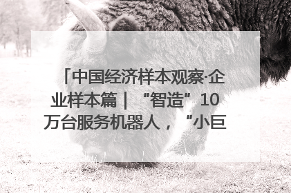 中国经济样本观察·企业样本篇｜“智造”10万台服务机器人，“小巨人”擎朗有大梦想