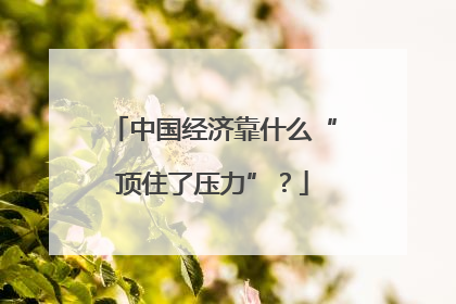 中国经济靠什么“顶住了压力”？