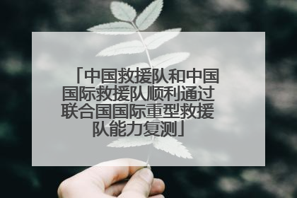 中国救援队和中国国际救援队顺利通过联合国国际重型救援队能力复测