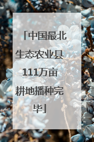 中国最北生态农业县111万亩耕地播种完毕