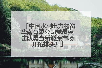中国水利电力物资华南有限公司党员突击队勇当新能源市场开拓排头兵