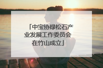 中宝协绿松石产业发展工作委员会在竹山成立