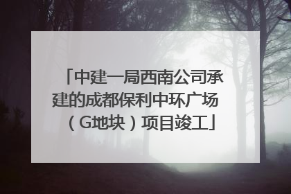 中建一局西南公司承建的成都保利中环广场（G地块）项目竣工