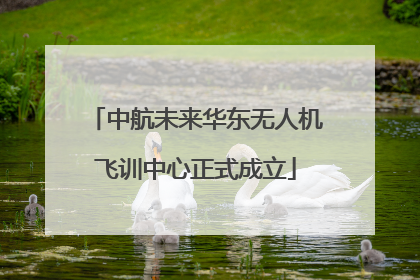 中航未来华东无人机飞训中心正式成立