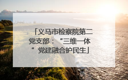 义马市检察院第二党支部：“三维一体”党建融合护民生