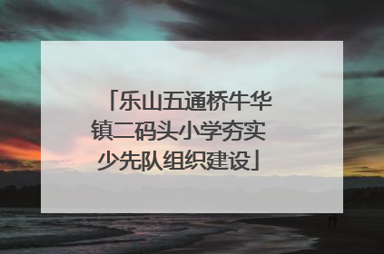 乐山五通桥牛华镇二码头小学夯实少先队组织建设