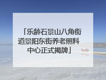 乐龄石景山八角街道景阳东街养老照料中心正式揭牌