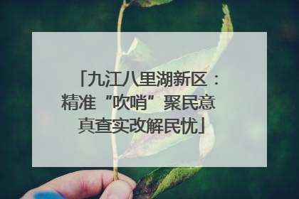 九江八里湖新区：精准“吹哨”聚民意 真查实改解民忧