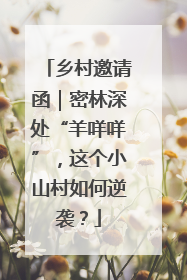 乡村邀请函｜密林深处“羊咩咩”，这个小山村如何逆袭？