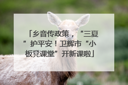 乡音传政策，“三夏”护平安！卫辉市“小板凳课堂”开新课啦
