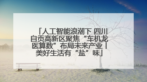 人工智能浪潮下 四川自贡高新区聚焦“车机龙医算数”布局未来产业丨美好生活有“盐”味
