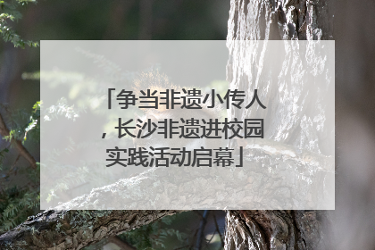 争当非遗小传人，长沙非遗进校园实践活动启幕