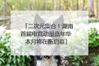 二次元集合！湖南首届电竞动漫嘉年华本月将在衡启幕
