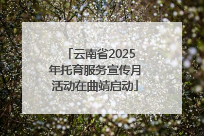 云南省2025年托育服务宣传月活动在曲靖启动