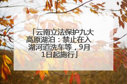 云南立法保护九大高原湖泊：禁止在入湖河道洗车等，9月1日起施行