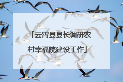 云霄县县长调研农村幸福院建设工作