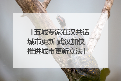 五城专家在汉共话城市更新 武汉加快推进城市更新立法