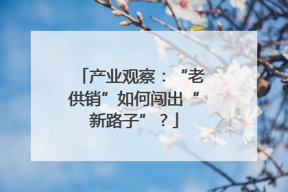 产业观察：“老供销”如何闯出“新路子”？