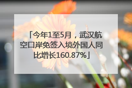 今年1至5月，武汉航空口岸免签入境外国人同比增长160.87%