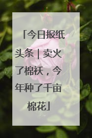 今日报纸头条｜卖火了棉袄，今年种了千亩棉花